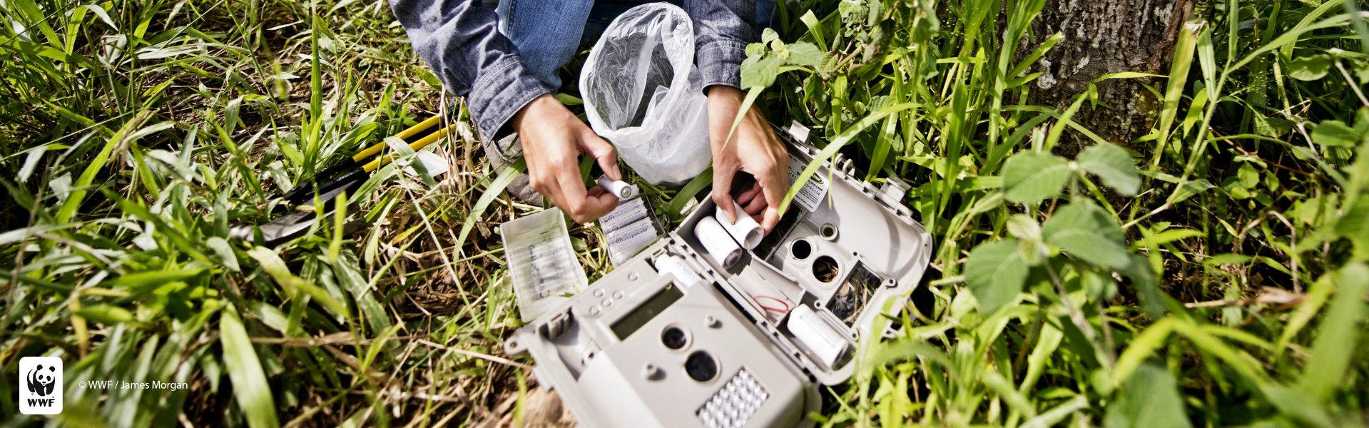 Camera trap