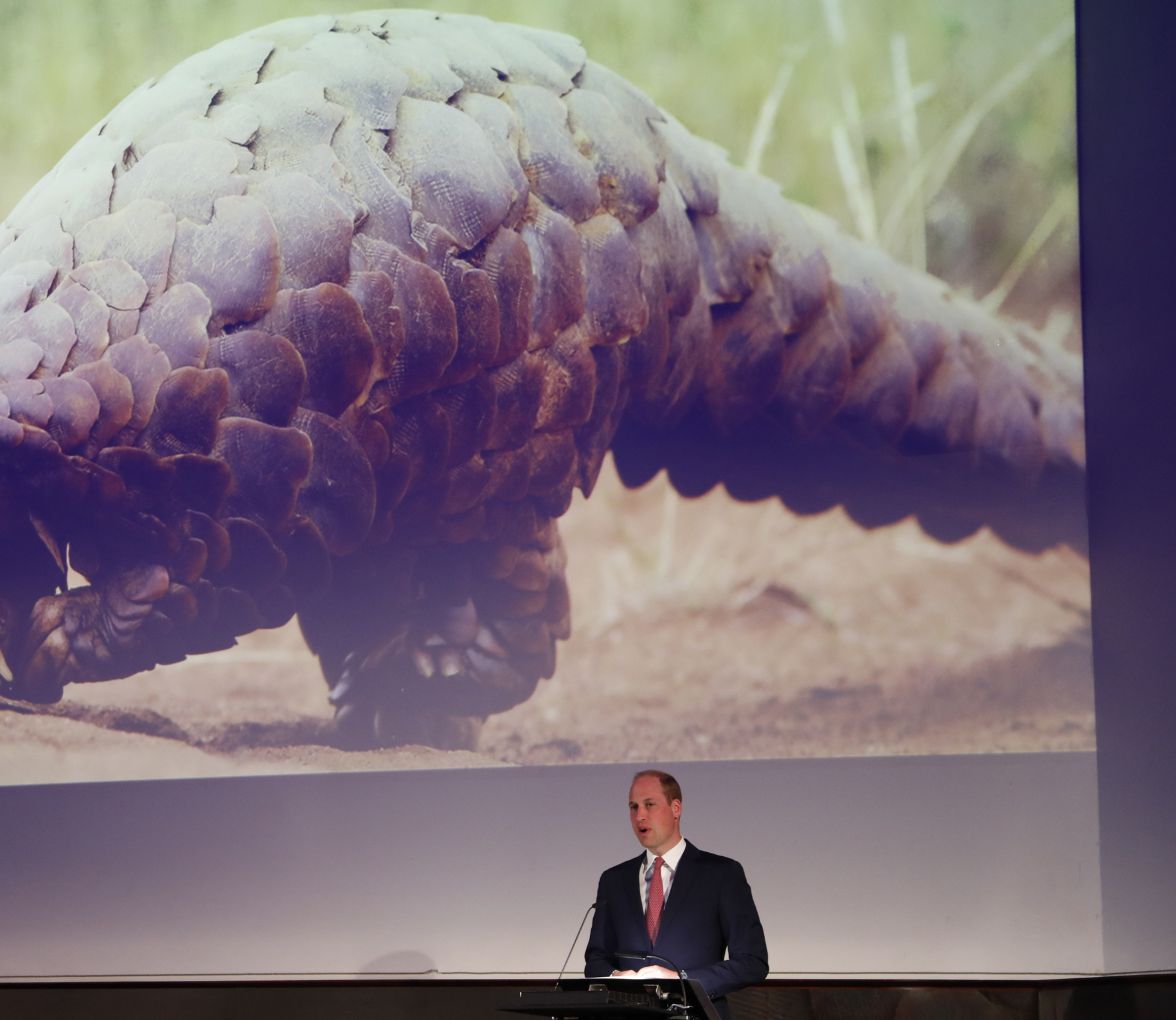 Wildlife joint taskforce meeting