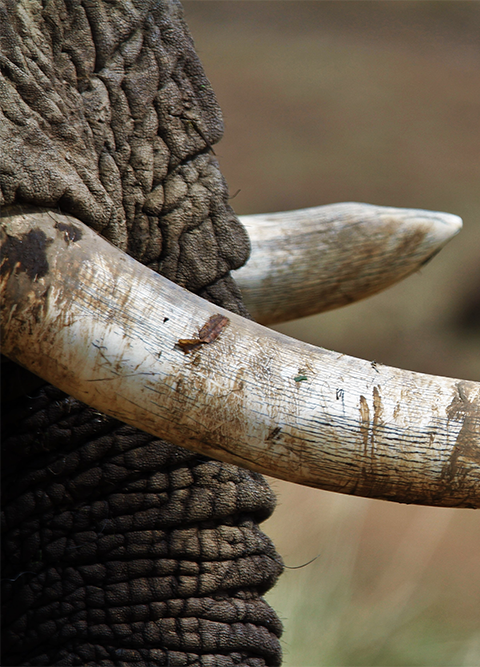 pawan-sharma-J33o16cP0SA-unsplash-1