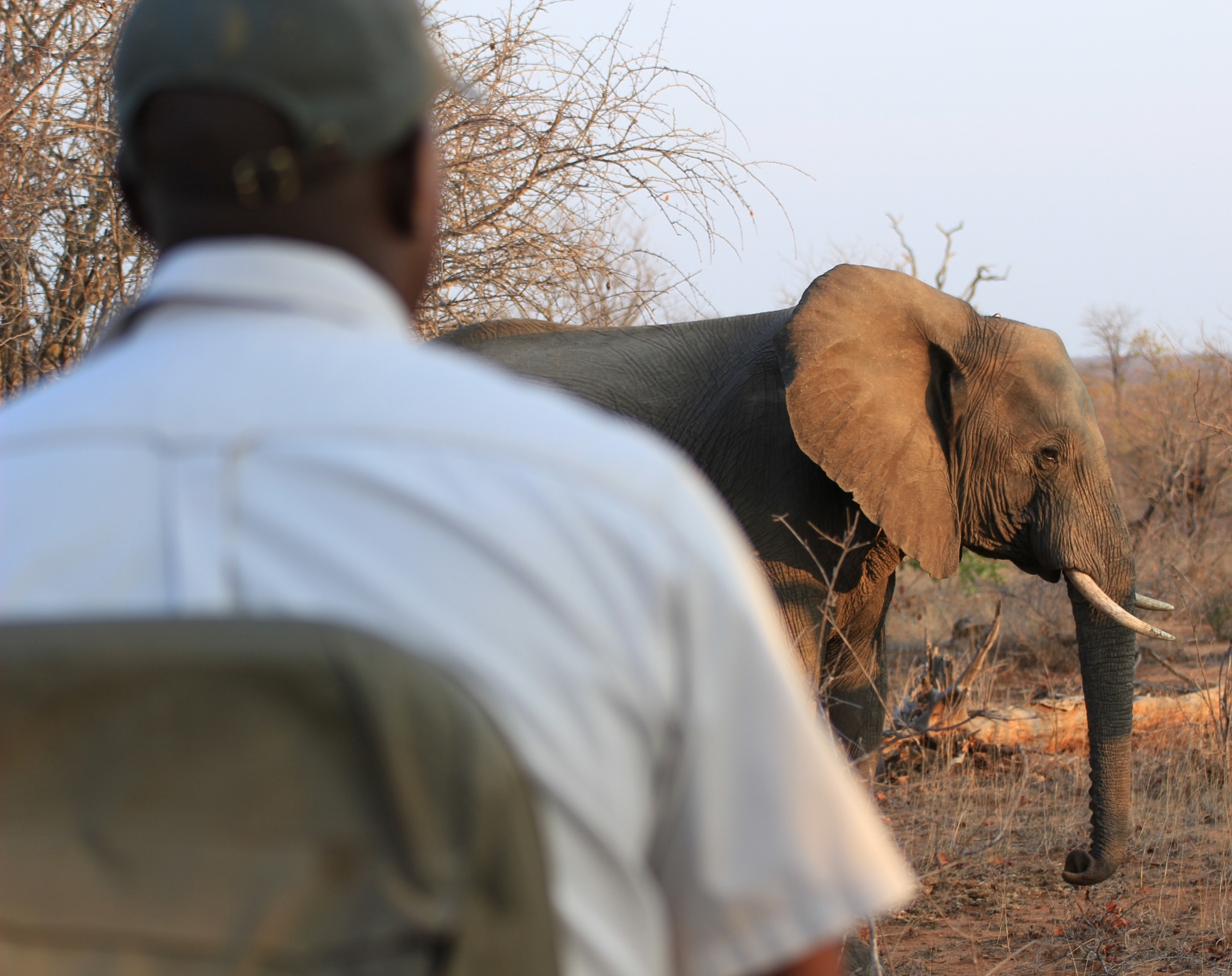 madiba-de-african-inspiration-ngbOgBUF4wk-unsplash