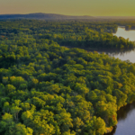 dave-hoefler-frmovOarYdE-unsplash (5) Edited - 2