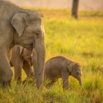 sumit-kumar-rMs22DVuZSs-unsplash